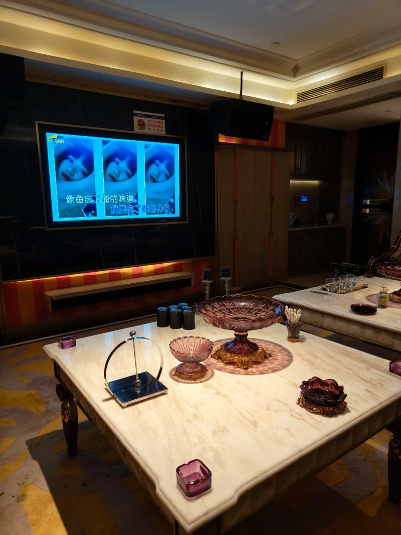 铁岭商务ktv最佳选择-银州区ktv预定